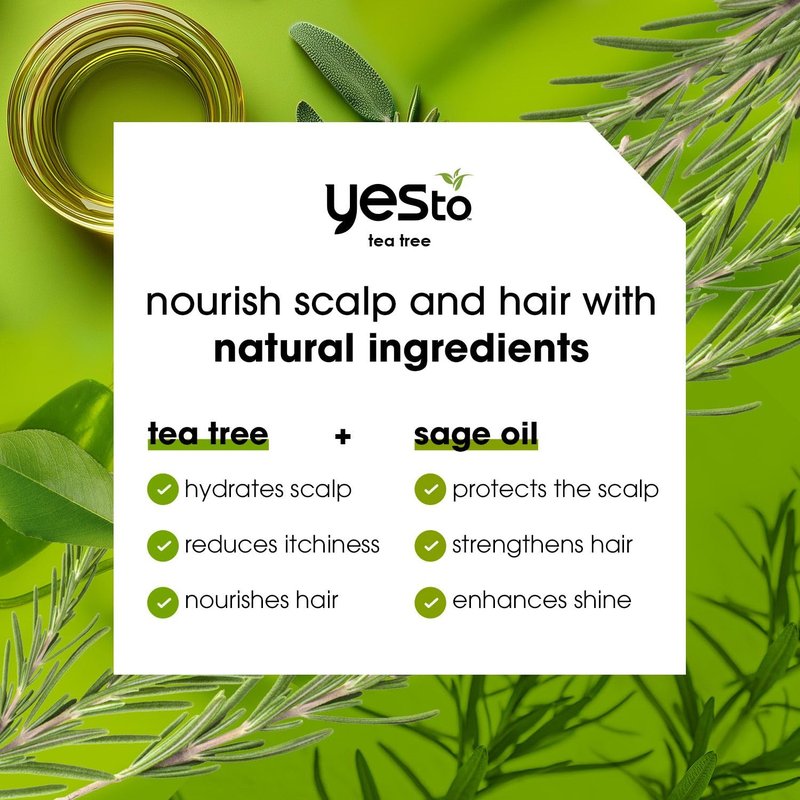 Yes To Tea Tree & Sage Oil Shampoo and Conditioner, Soothing Dry Itchy Scalp, Natural, Vegan & Cruelty-Free, 12 Fl Oz