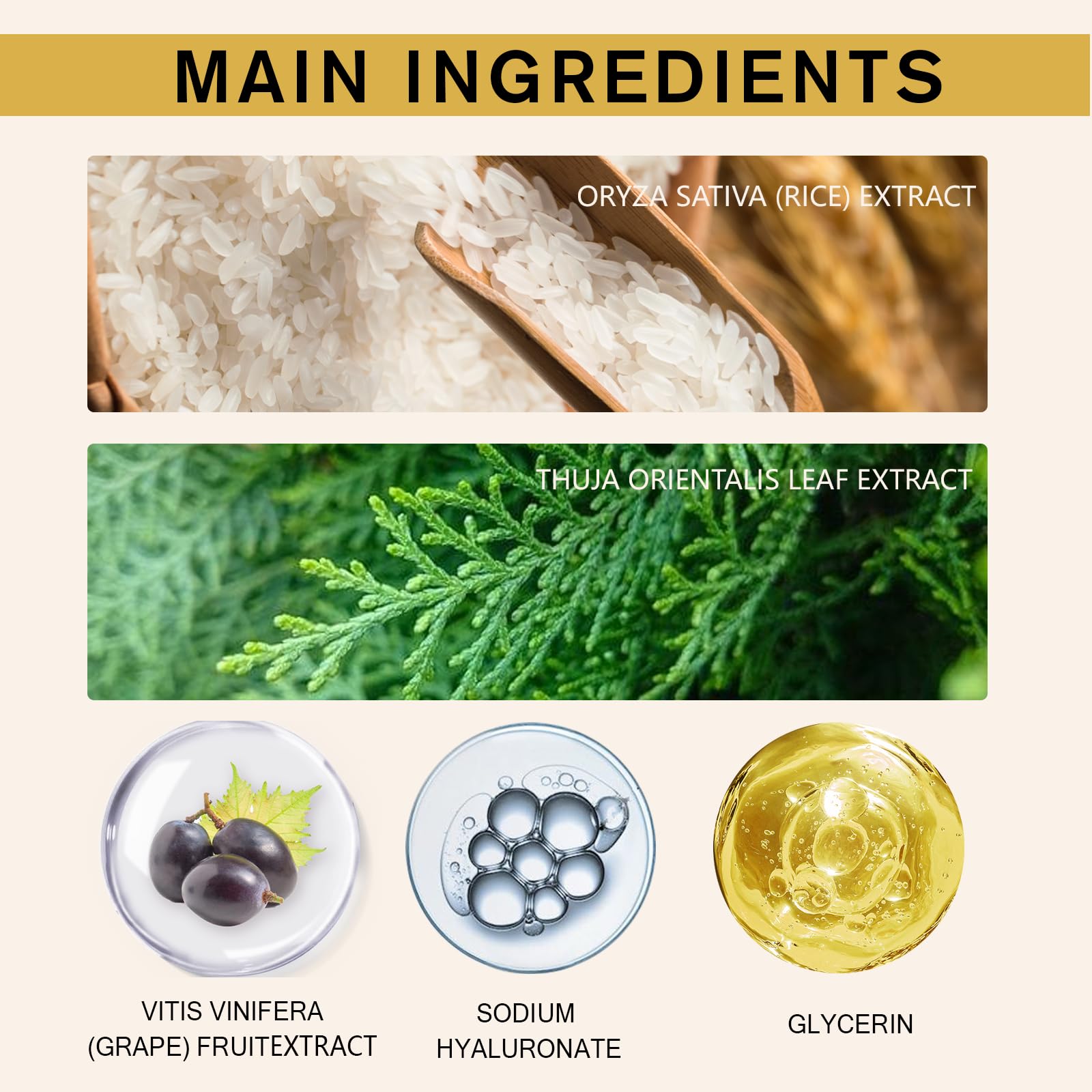 Rice Cream for Face,Rice Raw Pulp Face Cream for Moisturizing Skin,Lightweight & Non-Oily Skin Care for Dry, Sensitive & Dull Skin, Day &Night Use