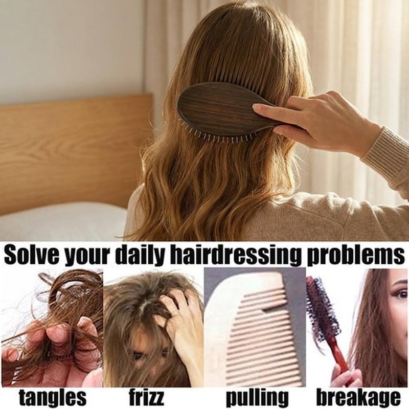 Skiennix Wooden Paddle Hair Brush - Anti-Frizz Metal Detangling Comb for All Hair Types | Scalp Massage, Wet/Dry Use