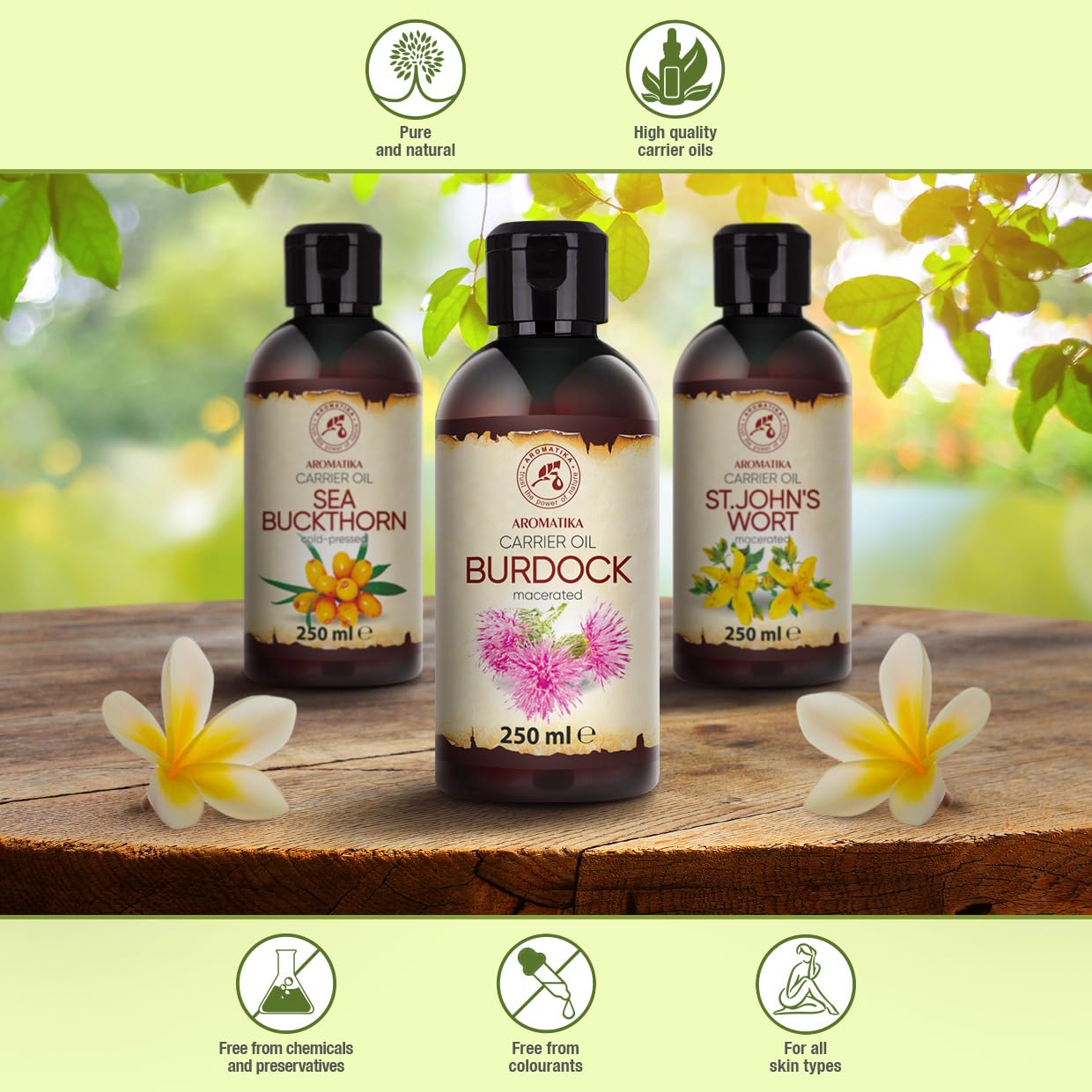 AROMATIKA Burdock Oil 8.45 Fl Oz (250ml) - 100% Pure & Natural - Arctium Lappa for Hair & Scalp - Carrier Oil for Nails - Skin - Lips - Face & Body Care - Glass Bottle - Oils Burdock Seed