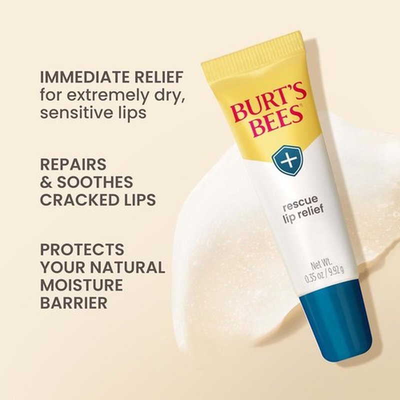 Burt's Bees Lip Relief - 100% Natural Shea Butter & Echinacea Formula | 0.35 Ounces
