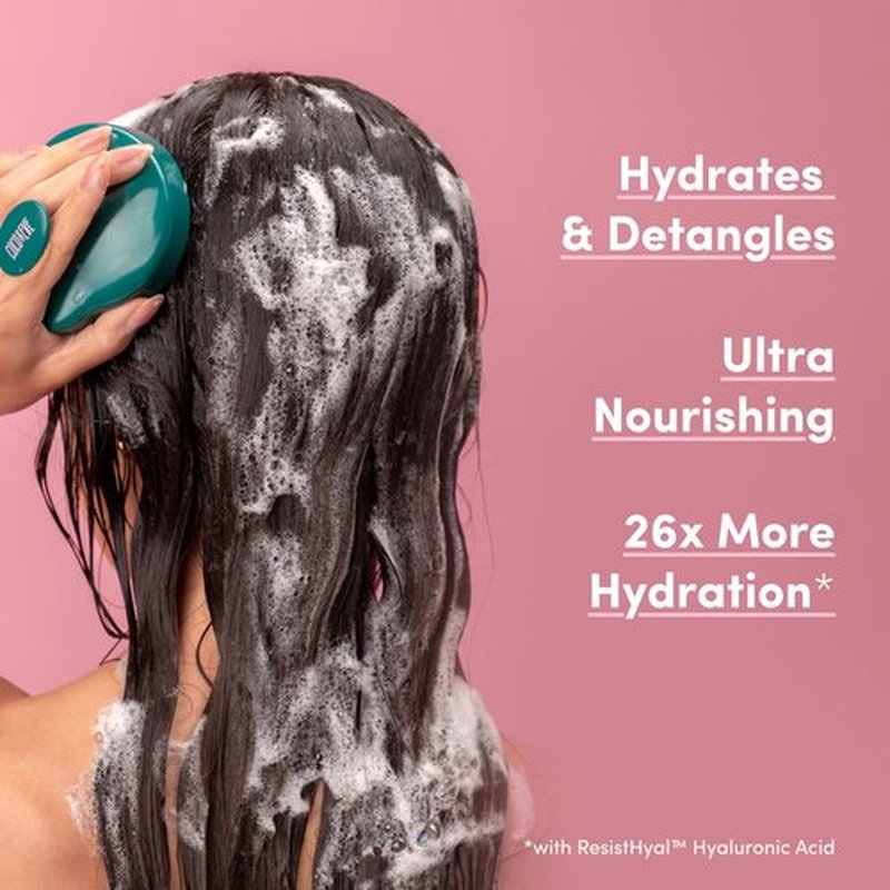 Coco & Eve Like A Virgin Shampoo & Conditioner Bundle - Sulfate-Free Hair Care with Argan & Coconut Oil | 8.4 fl oz Each for Dry, Color-Treated Hair