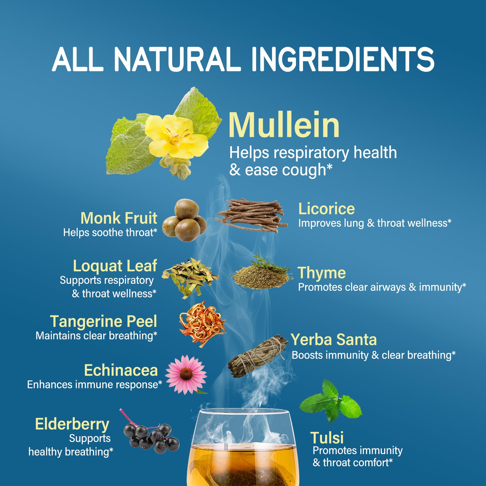 TisaFlor Mullein Leaf Tea, Herbal Tea Supports Throat Comfort, Respiratory & Immunity with Licorice Thyme Tulsi. Caffeine Free, Vegan, 50 Tea Bags.