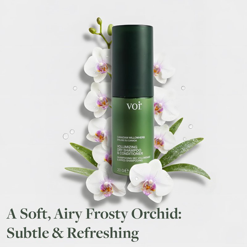 Voir Haircare Volumizing Dry Shampoo & Conditioner for Women, Organic Dry Shampoo Powder with Willowherb, Green Tea Extract & Glacial Clay, Oil-Absorbing, Scalp-Soothing, Travel Size, 0.67 oz