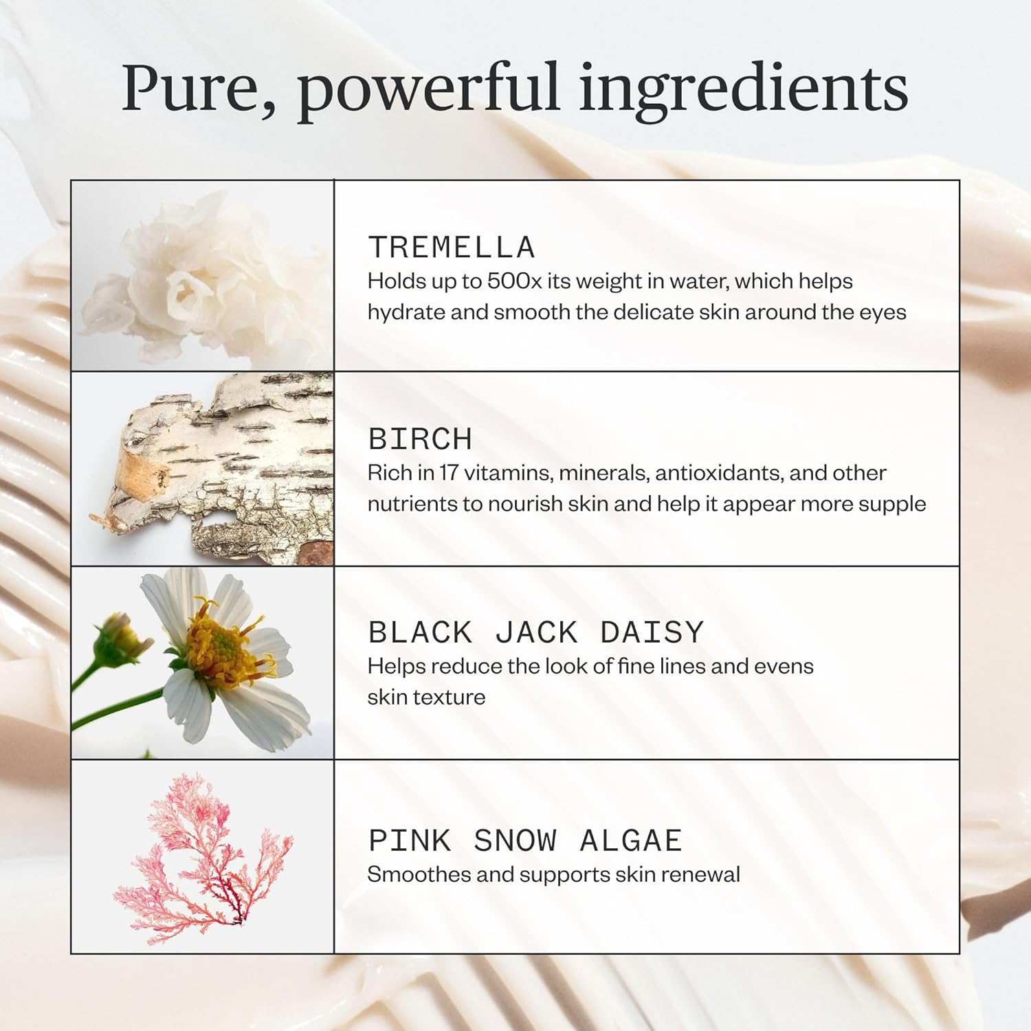 Ursa Major Forest Alchemy Eye Cream - Natural Under-Eye Moisturizer for Dark Circles & Fine Lines | Vegan & Cruelty-Free | 0.50 oz
