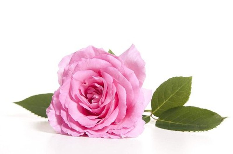 OPO Rose Water Facial Toner Spray - Hydrating & Rejuvenating Natural Bulgarian Rosewater Mist (8 oz)