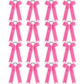 OAOLEER 16pcs Cheer Hair Bows for Cheerleader, College Style Long Tail Skinny Cheer Bow Elastic Hair Tie Bows for Teens Girls Softball Competition Sports Cheerleaders (Pink)