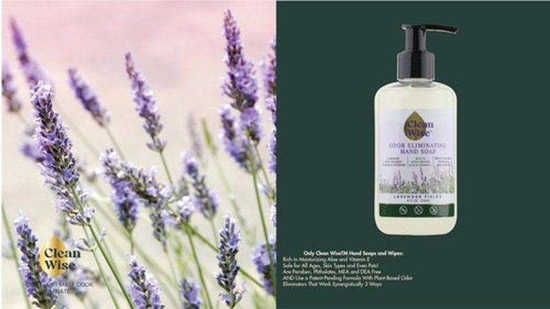 CLEANWISE Odor Eliminating Hand Soap, 8 fl oz (1 Pack, Lavender)