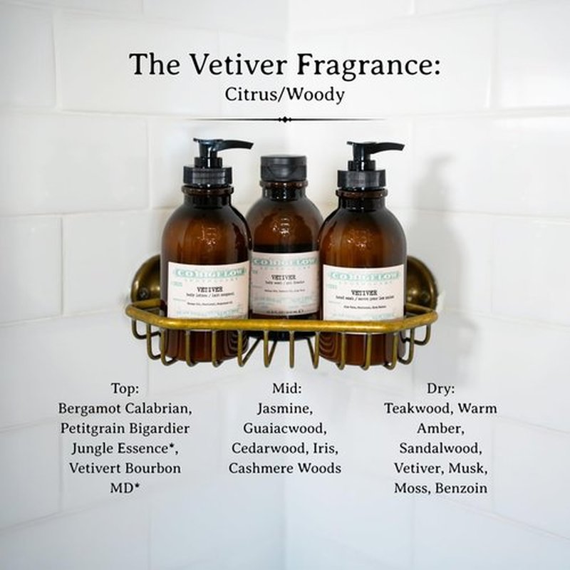 C.O. Bigelow Iconic Collection Vetiver Body Wash, Scented Shower Gel with Coconut Oil and Aloe Vera, 10.5 fl oz