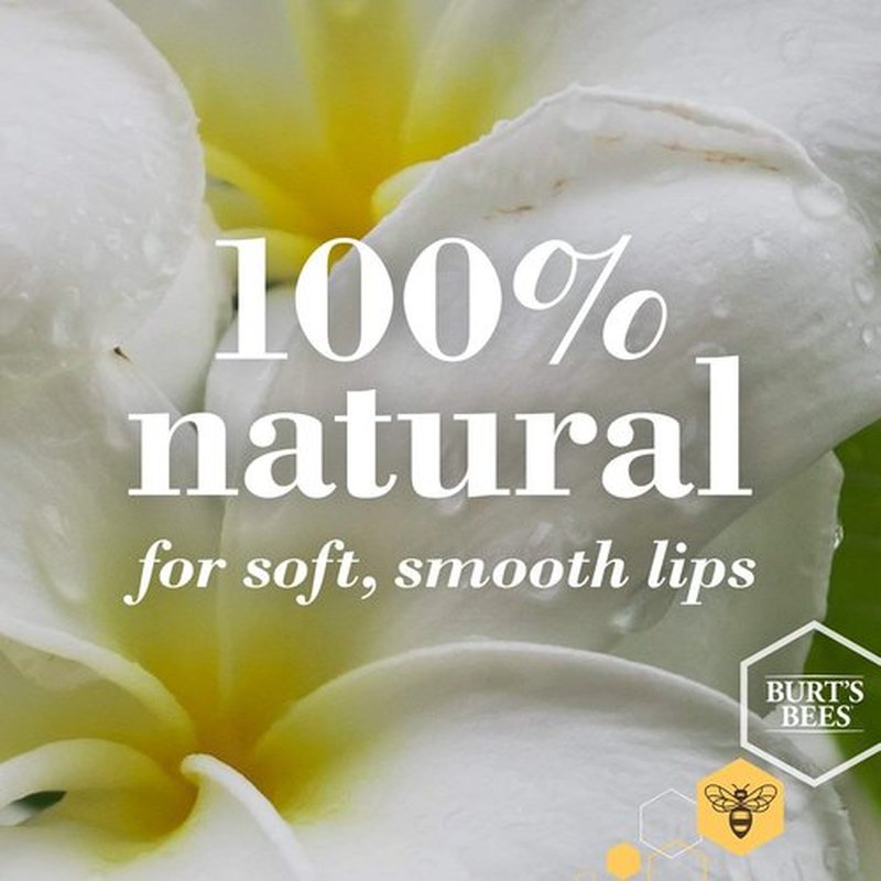 Burt's Bees Wild Cherry Lip Balm - Moisturizing Formula | 0.15 Ounce for Soft Lips