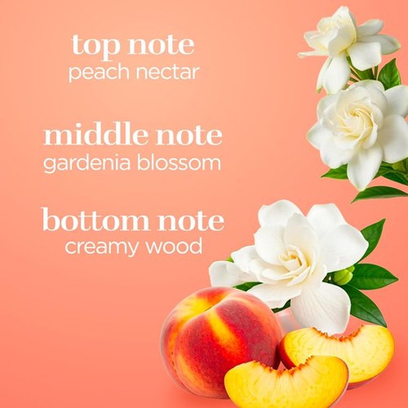 Body Fantasies Signature Fragrance Body Spray - Sweet Sunrise | 8 Fl Oz (Pack of 2)