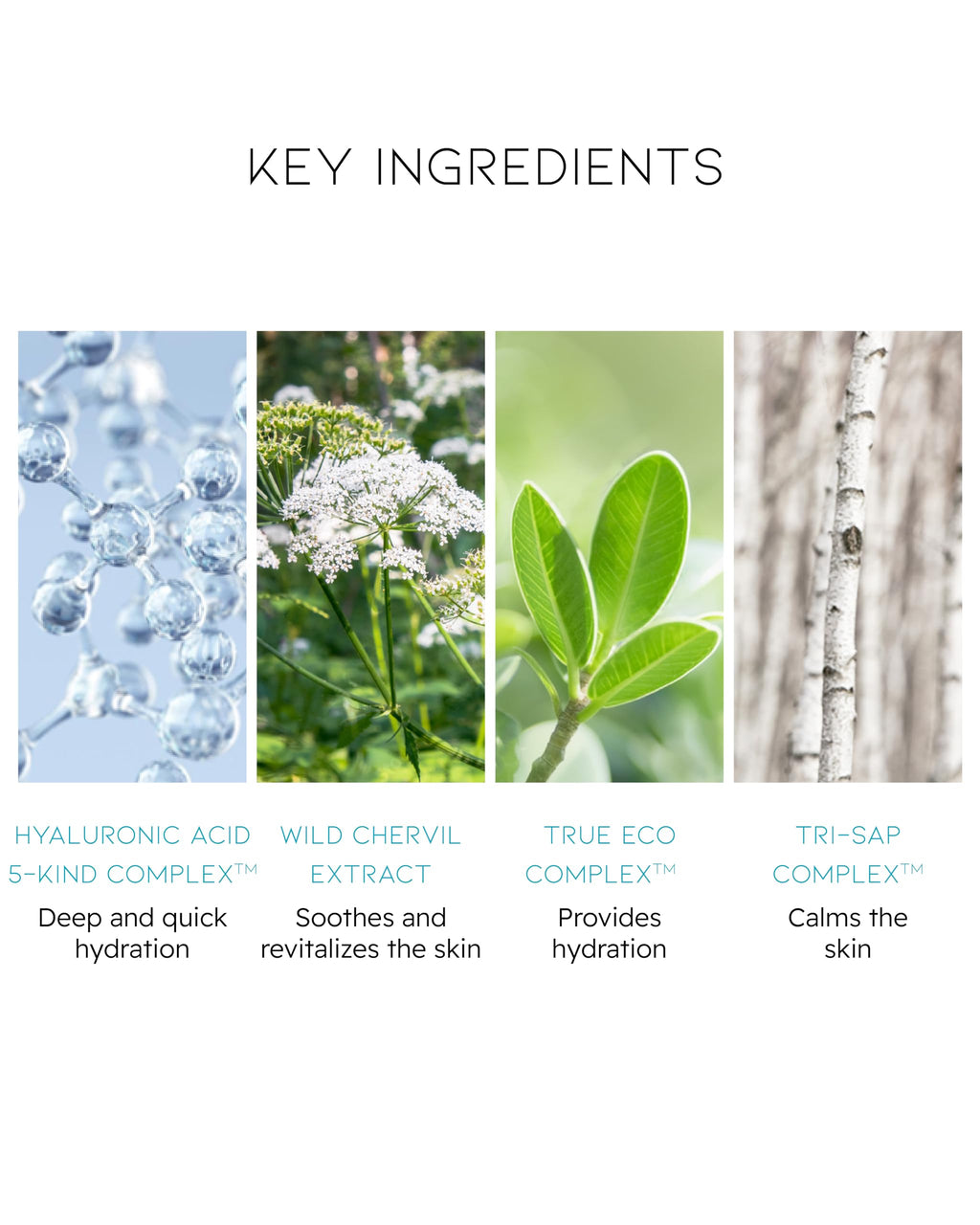BEYOND Angel Aqua Moisture Lotion (6.8fl oz) - Lightweight, Non-Sticky Moisturizer for Sensitive Skin. Vegan Formula Korean Skin Care Cream. Chervil, Hyaluronic Acid.