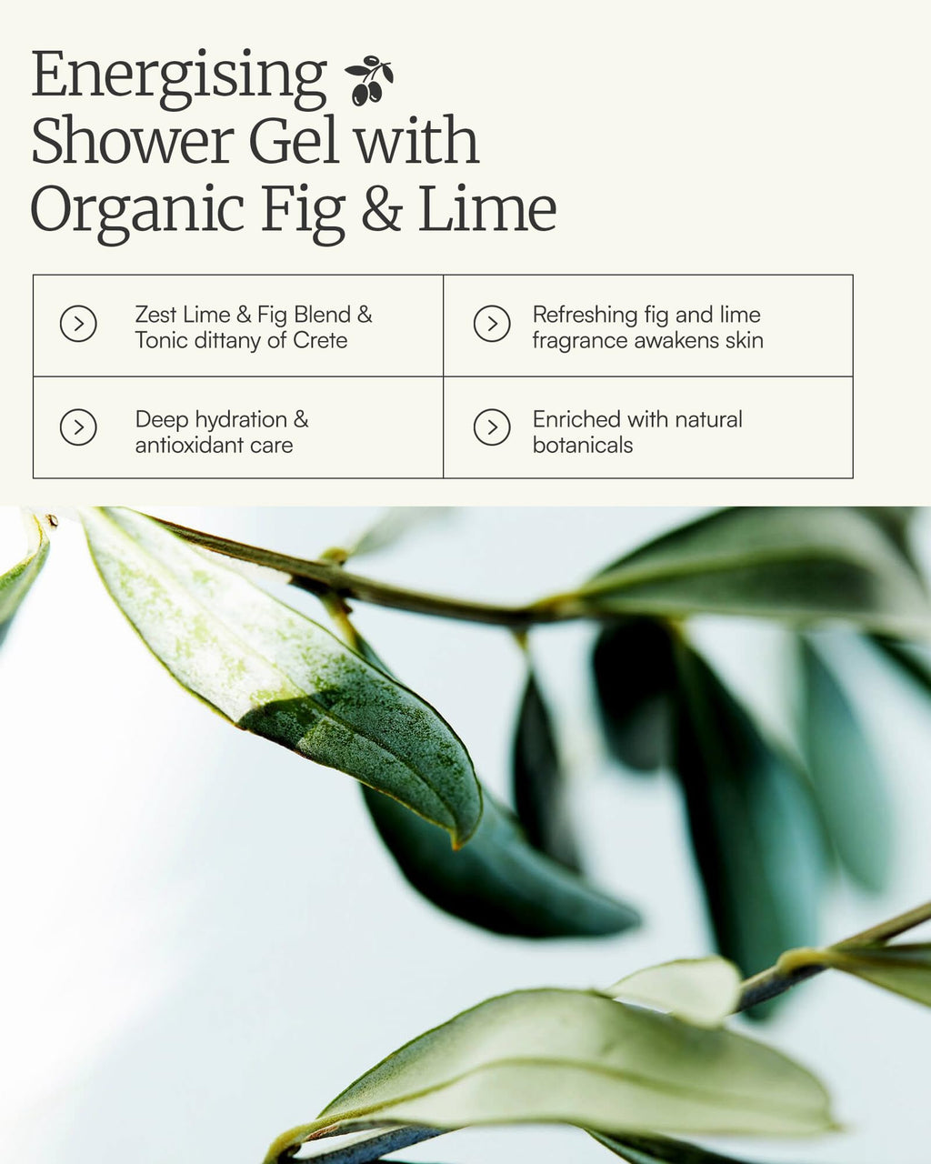 AEOLIS Body Wash with Olive Oil, Shower Gel for Men & Women – Nourishing, Sulfate-Free, Skin-care Clean Beauty & Hydrating Botanical Body Cleanser, Made in Greece 9.12 Fl Oz (Fig & Lime)