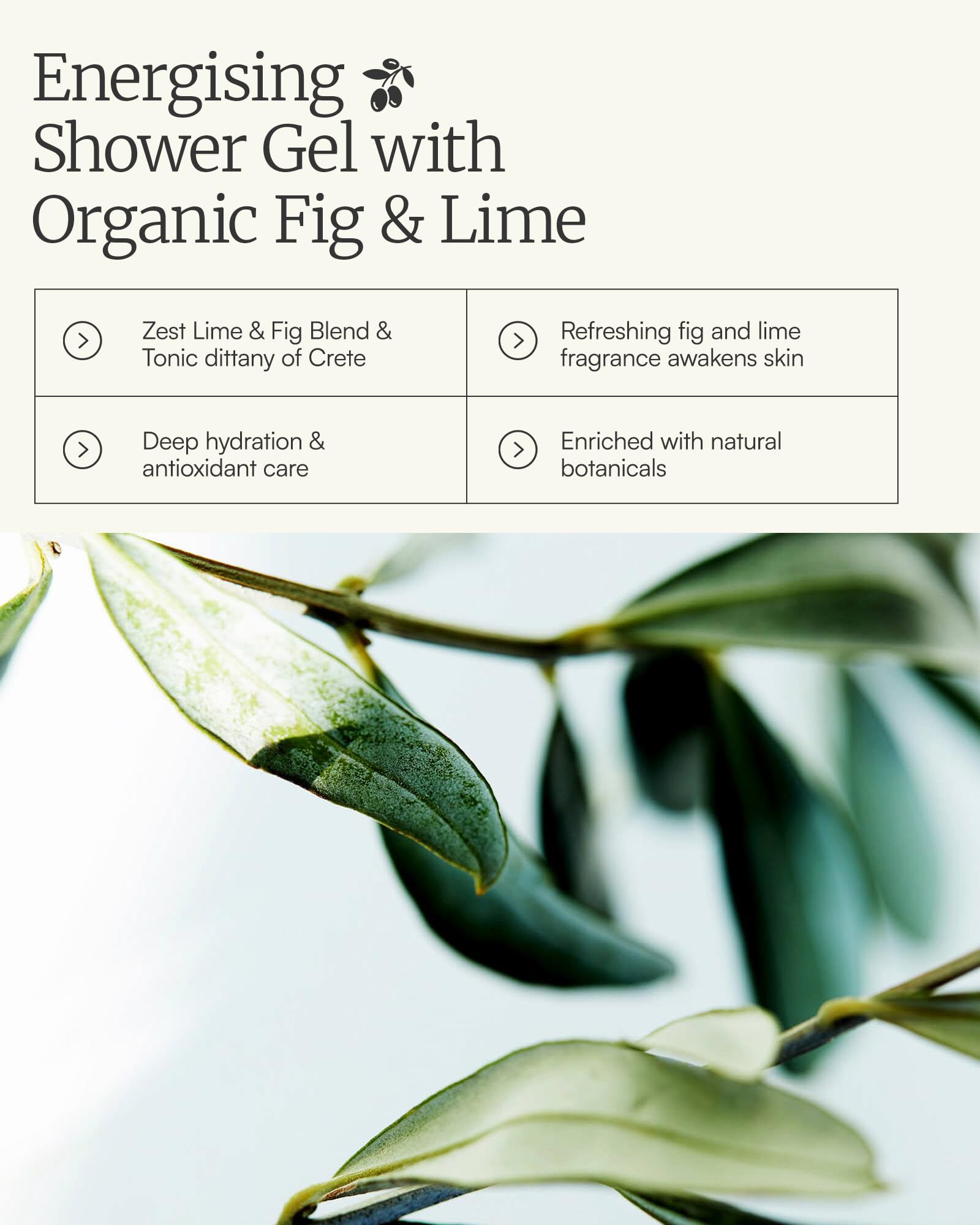 AEOLIS Body Wash with Olive Oil, Shower Gel for Men & Women – Nourishing, Sulfate-Free, Skin-care Clean Beauty & Hydrating Botanical Body Cleanser, Made in Greece 9.12 Fl Oz (Fig & Lime)