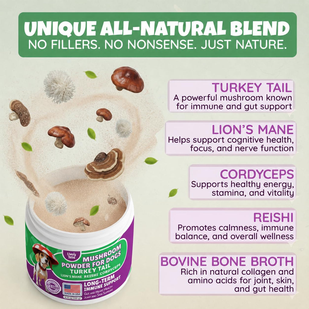 All-Natural Mushroom Powder for Dogs for Immunity, Cognition, Longevity, Bumps, and Lumps Support, Turkey Tail Mushroom for Dogs with Lion’s Mane, Reishi & Cordyceps, 4.25 oz Jar