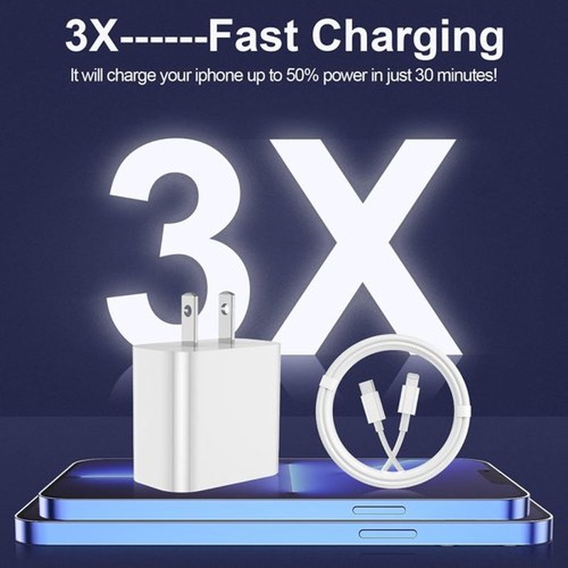 **Skiennix iPhone Charger - Fast Charging 2-Pack Type C Wall Block with 6FT & 10FT USB C to Lightning Cables**