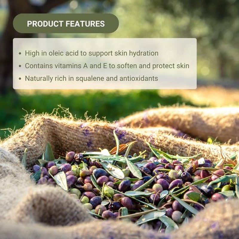Nature Packaged Olive Oil - 100% Pure Cold Pressed Natural Olive Oil (Aceite de Oliva) for Essential Oils Dilution, Massage & Skincare - Premium Grade (16oz)