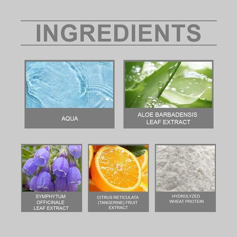 Regine Switzerland Silver Hair Dye - 2-in-1 Nourishing Color & Conditioning Essence | 3.53 Fl Oz (2 Pack)