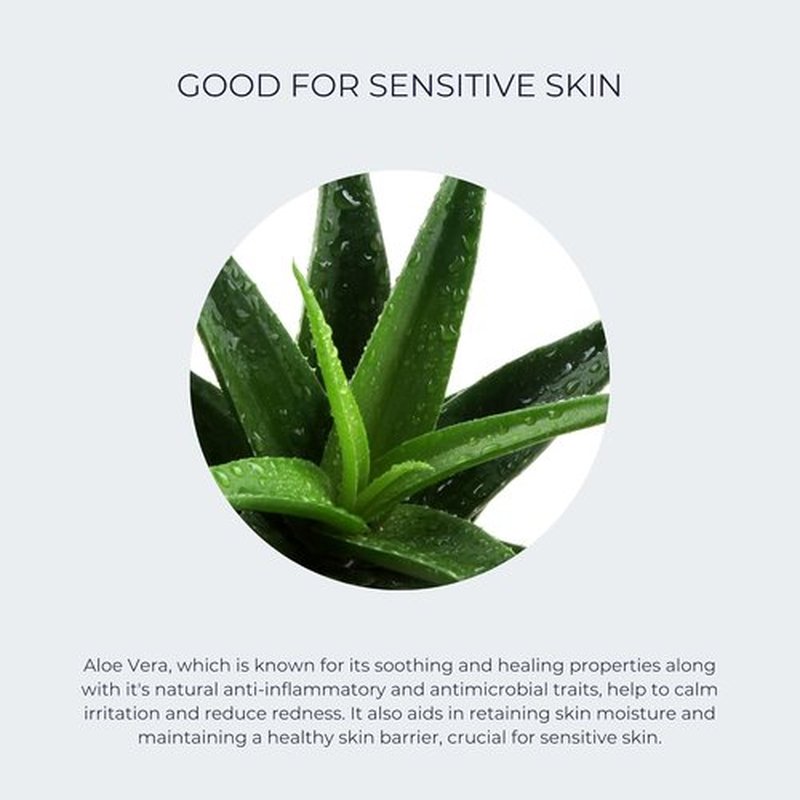 Alana Mitchell Vitamin C Serum - Hydrating Anti-Aging Face Moisturizer for All Skin Types (2 oz)