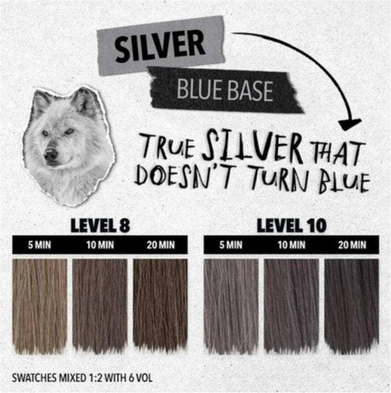 Pulp Riot High-Speed Toner - Silver Shade for Vibrant Hair Color | 3oz