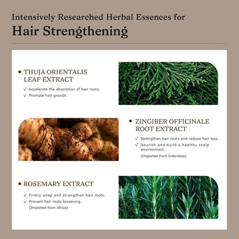 Biotin Ginger Volumizing Shampoo - Lightweight Cleansing for Oily Scalp & Fine Hair, Daily Use
