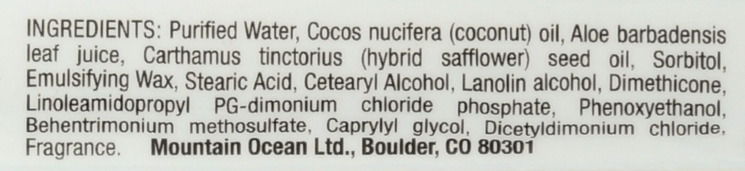 Mountain Ocean Coconut Skin Trip Moisturizer, 8 Fluid Ounce (5454)