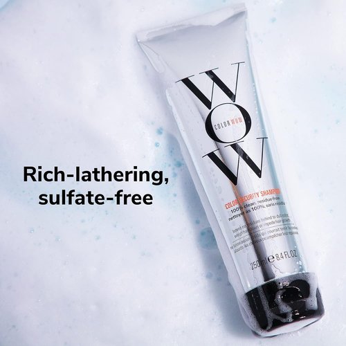 COLOR WOW Ultimate Frizz-Free Bundle | Dream Coat & Color Security Shampoo for Shiny, Humidity-Proof Hair