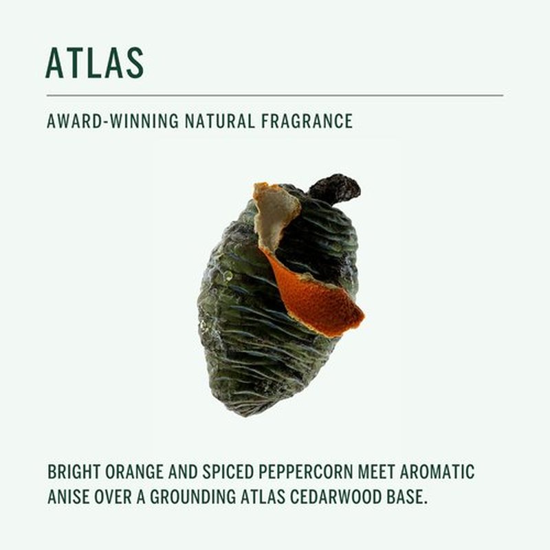 CORPUS Natural Deodorant Stick - Aluminum & Baking Soda Free | Non-Toxic for Sensitive Skin, Unisex