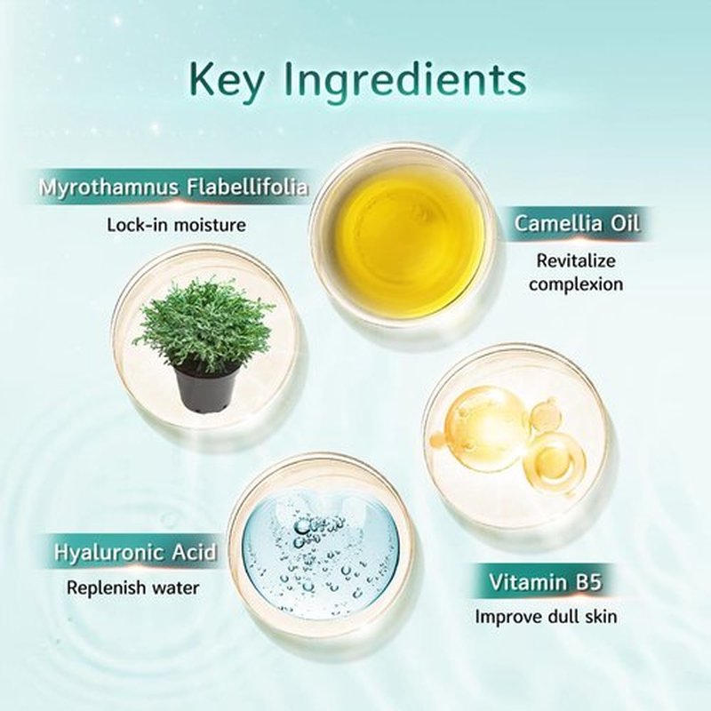 My Beauty Diary Rejuvenate Deep Hydration Mask, Moisturizing and Nourishing Facial Mask, Improve skin texture, Self Care Face Sheet Mask for Dry Skin and All Skin Types (5 pcs)