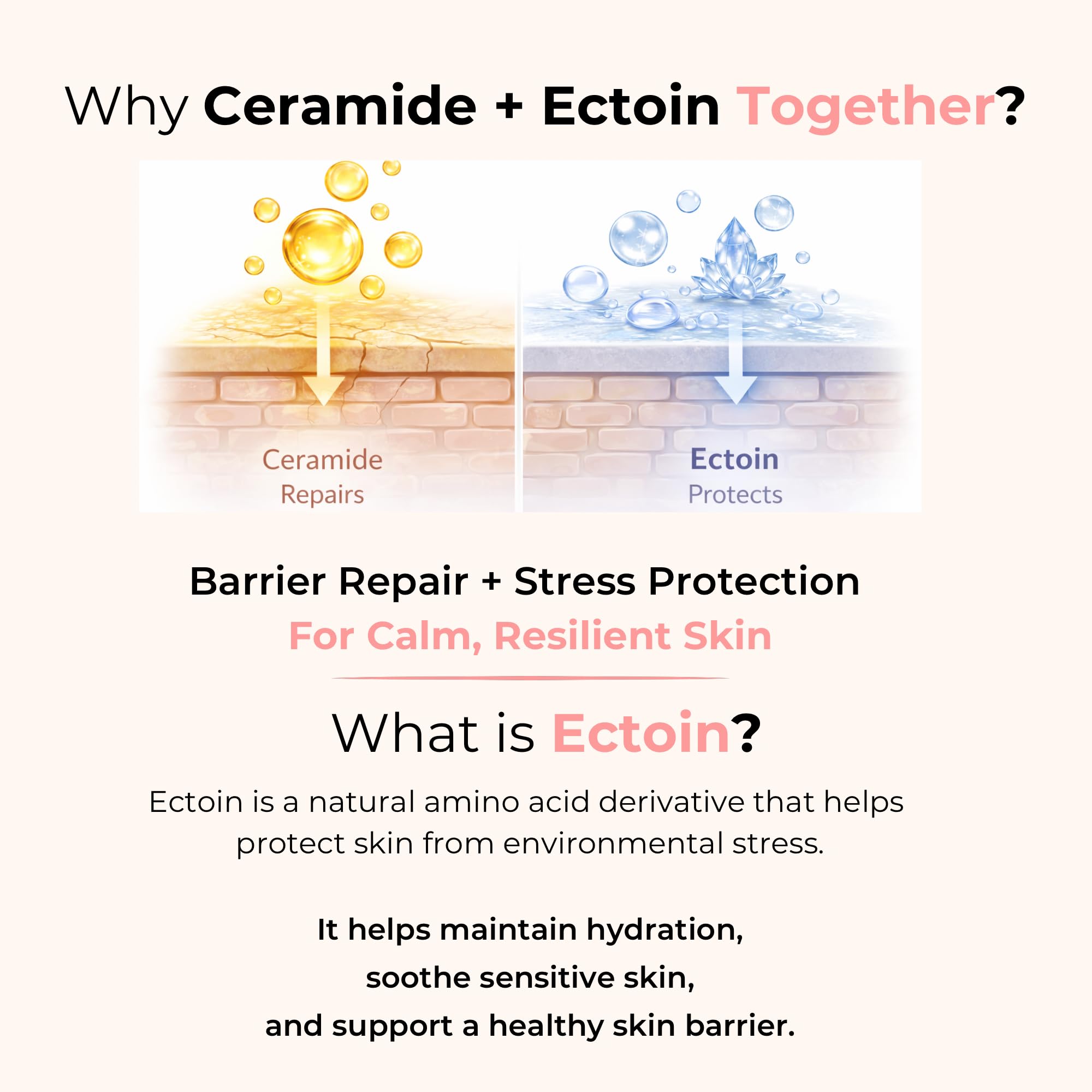 SFROMS Ceramide, Ectoin & Hyaluronic Acid Lotion for Dry & Sensitive Skin, Barrier Repair Moisturizer, Fragrance-Free, Dermatologically Tested, Korean Skincare, 100 ml