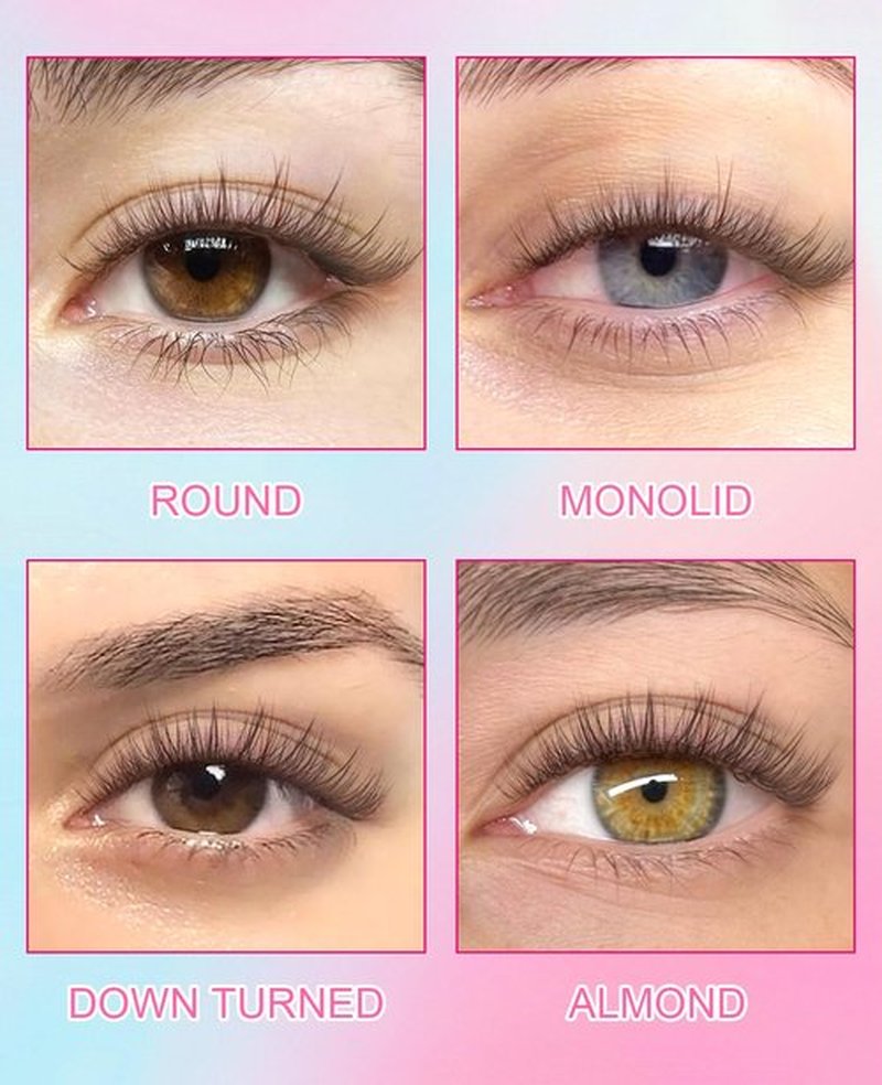 Brown Self Adhesive Eyelashes Preglued - Natural Look No Glue Eyelashes 10mm Natural Waterproof Glueless No Glue Needed Reusable Stick on False Strip Lashes by EMEDA (Brown 63)
