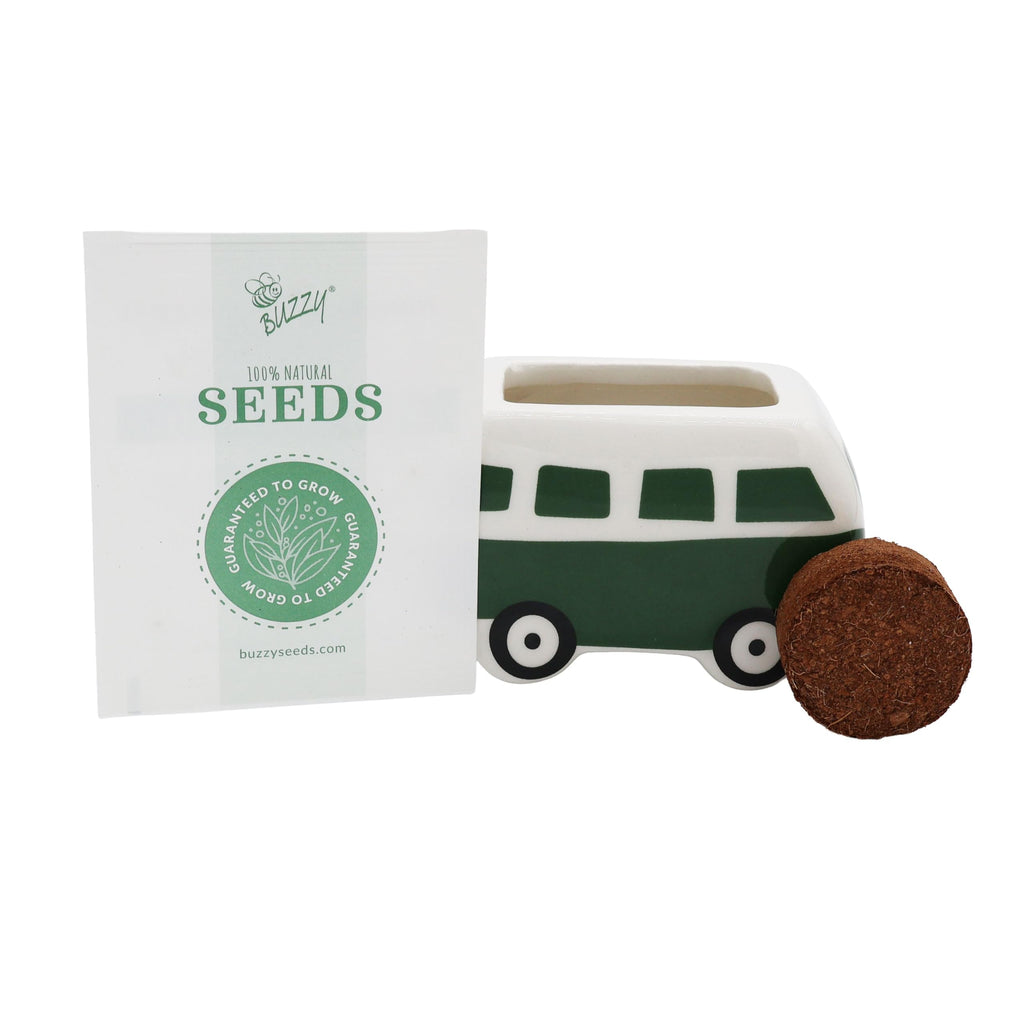 BUZZY Seeds Mini Ceramic Flower Bus Grow Kit 4-Pack - Bus Ceramic Planter - Complete Indoor/Outdoor Gardening Kit with Seeds, Coconut Husk Growing Medium & Genuine Pots - 100% Grow Guarantee