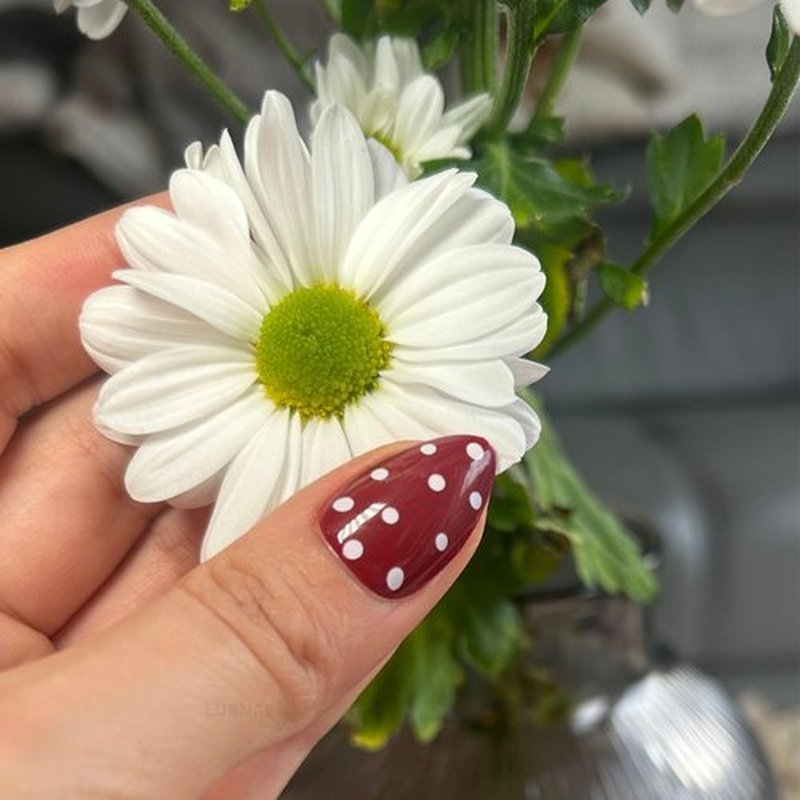 Lubnae -Designed in PARIS. Luxury Collection Press-On Nails – Collection – 30 Reusable Nails with Glue – Almond Short – Salon Quality at Home (Snow Red)