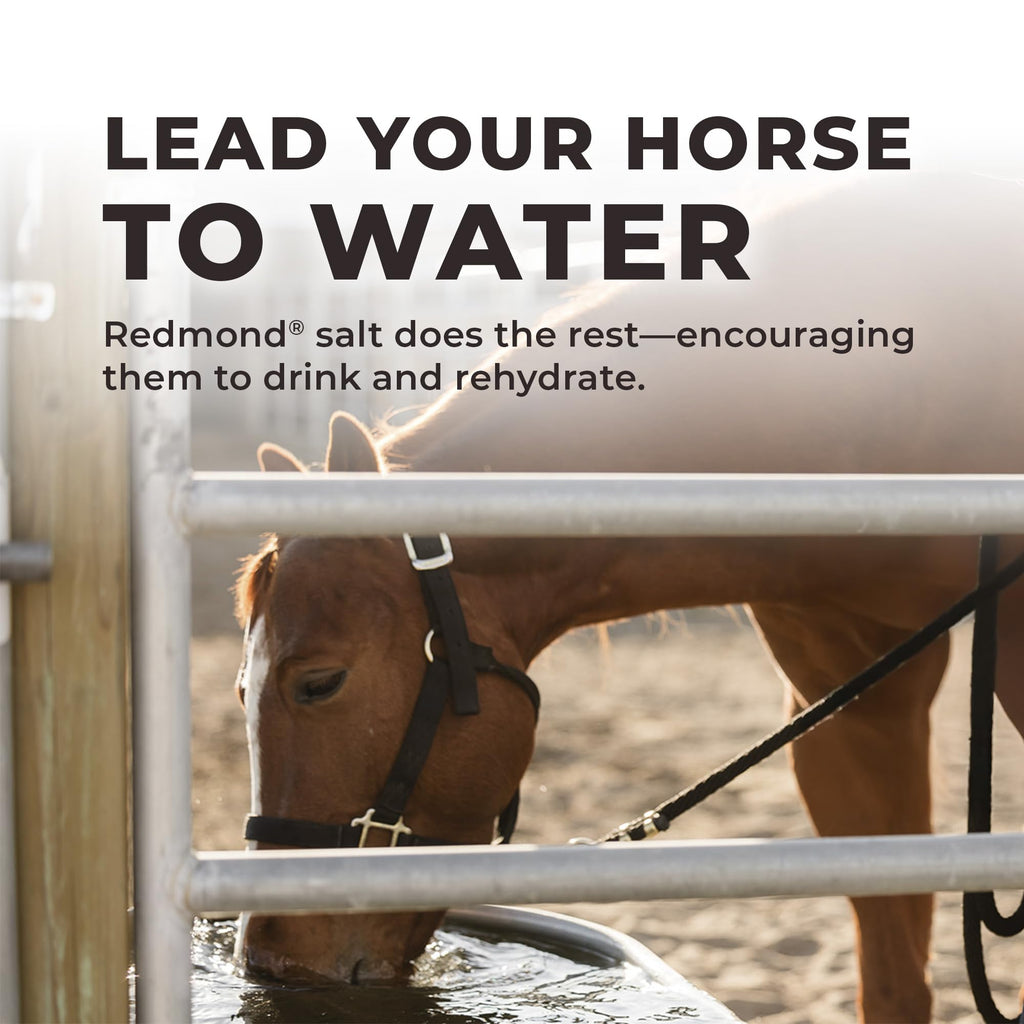 Daily Red Complete Wellness, Fortified Mineral Mix Supplement for Horses (5 LB)