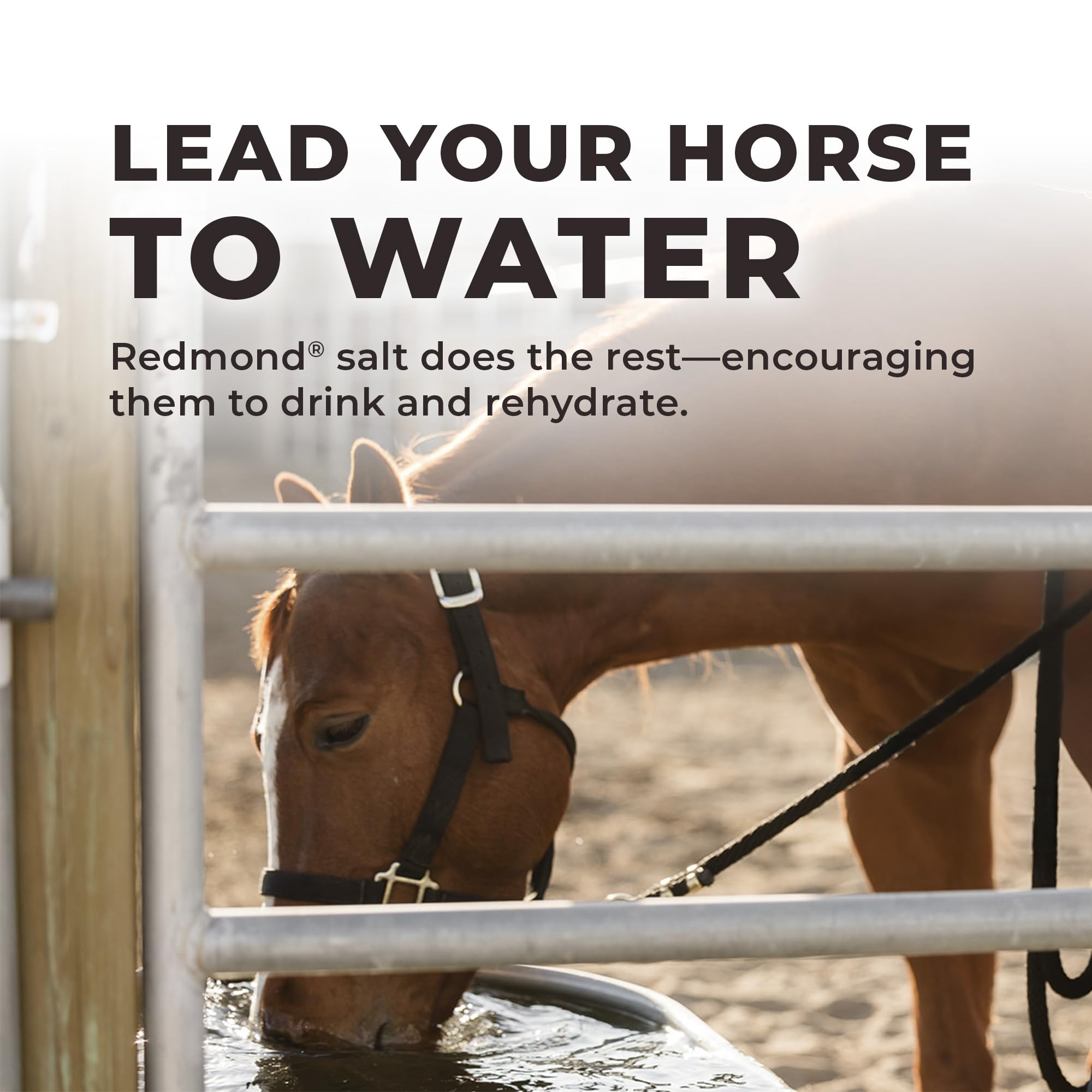 Daily Red Complete Wellness, Fortified Mineral Mix Supplement for Horses (5 LB)