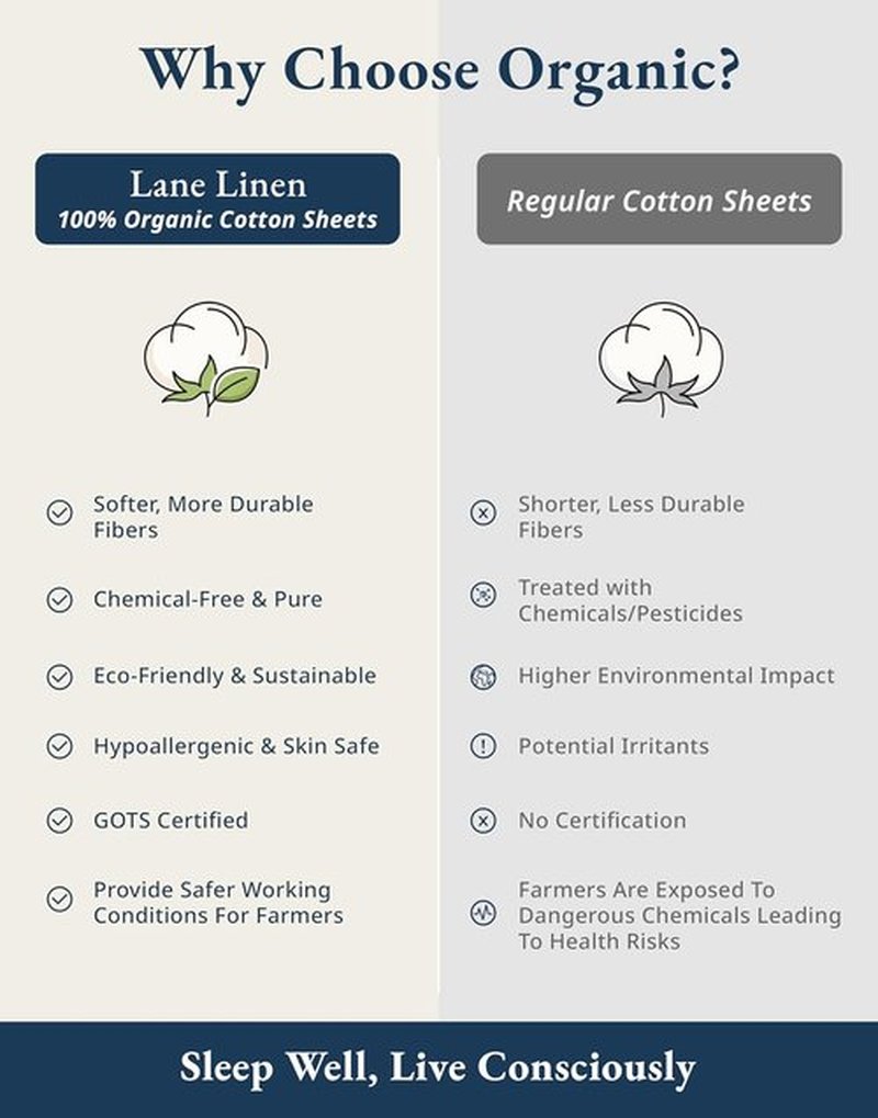 LANE LINEN 100% Organic Cotton Twin Sheets - Soft, Comfy, Temperature Regulating, Luxury Hotel Quality - Silver