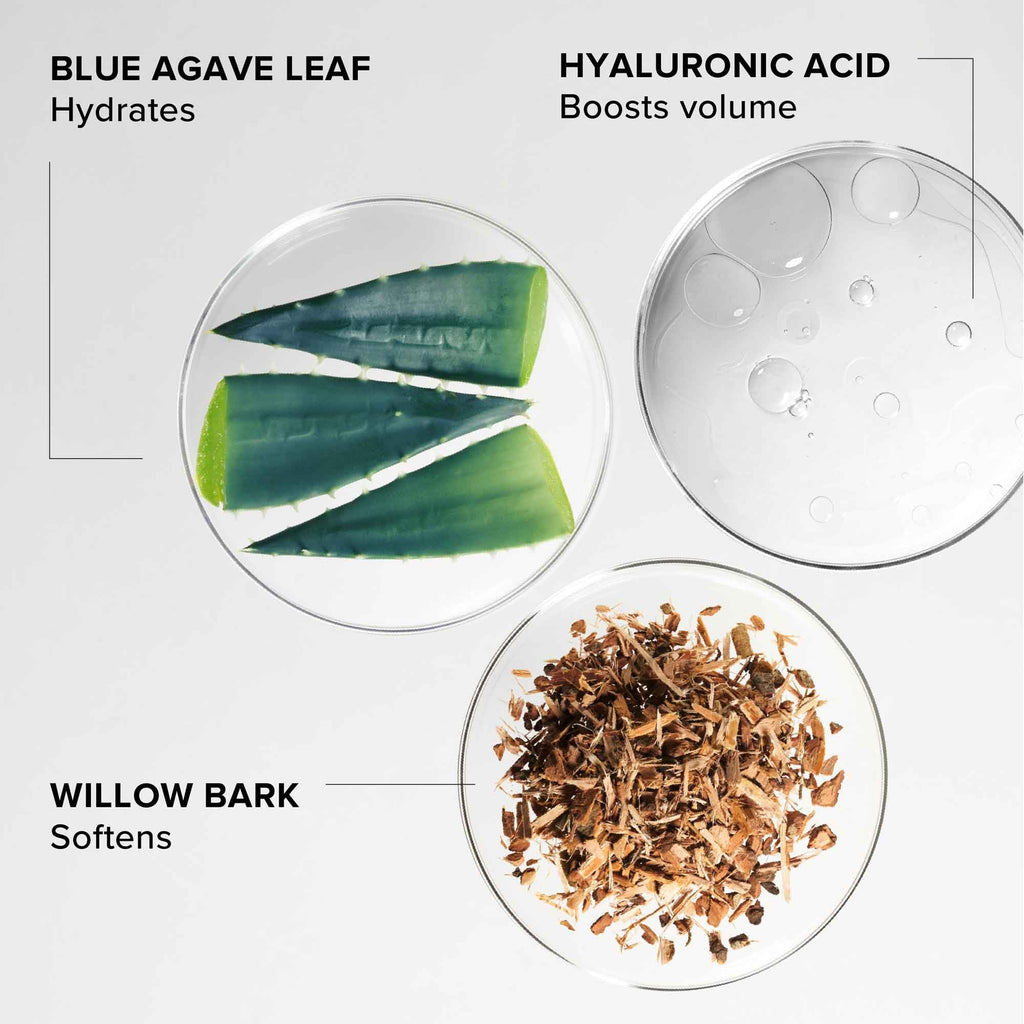 ALPYN Willow & Sweet Agave Plumping Lip Mask | Hydrating Daily Lip Treatment For Softer, Smoother & More Supple Lips | 0.35 oz / 10 g