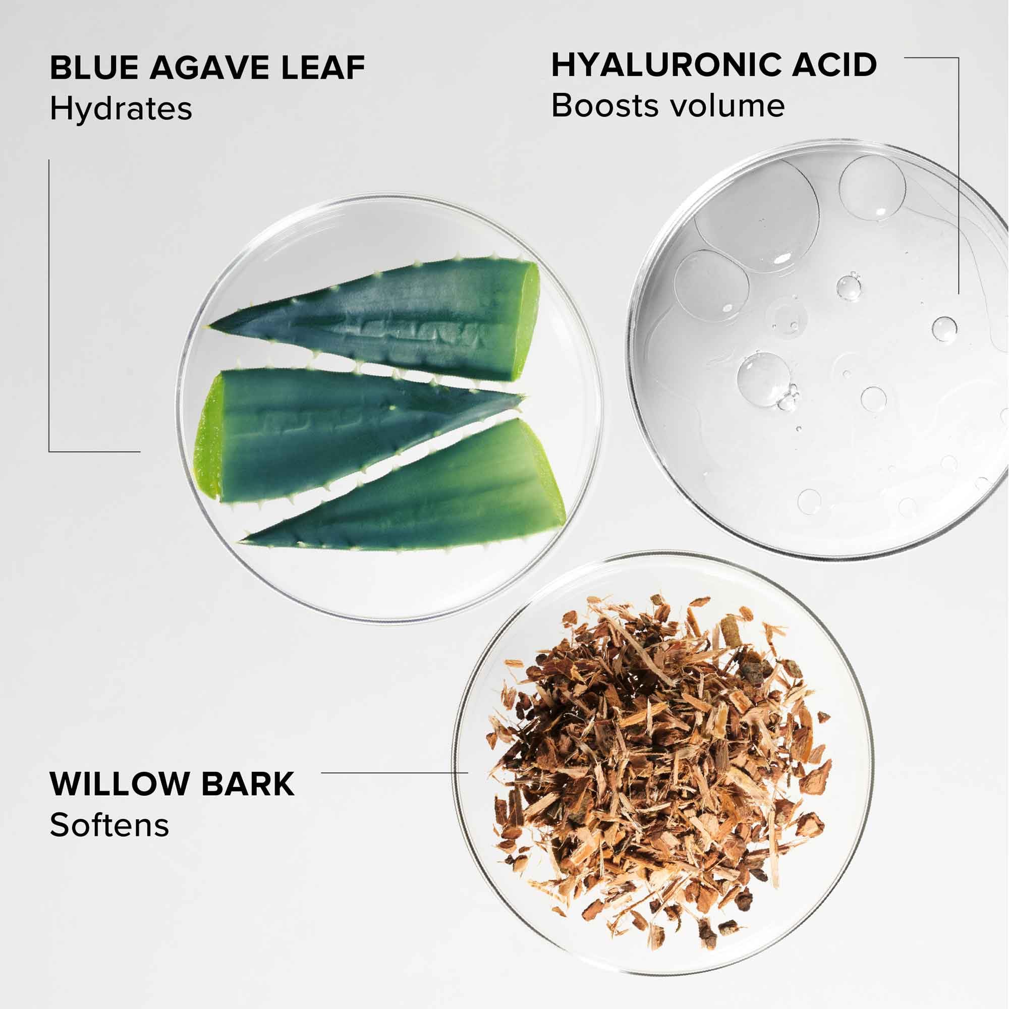 ALPYN Willow & Sweet Agave Plumping Lip Mask | Hydrating Daily Lip Treatment For Softer, Smoother & More Supple Lips | 0.35 oz / 10 g