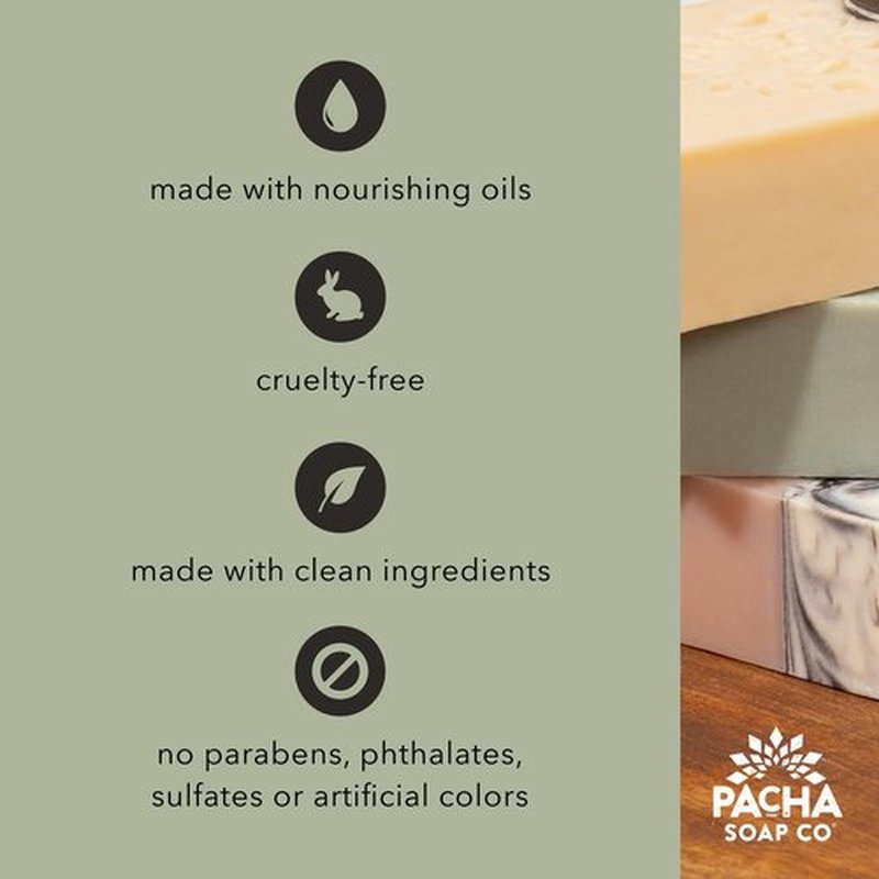 Pacha Soap Co. Body Wash - Santal & Amber Scent, Hydrating & Moisturizing Formula with Clean Ingredients and Essential Oils, Paraben-Free, Dye-Free, Made in the USA, 2-Pack (16 fl oz Each)