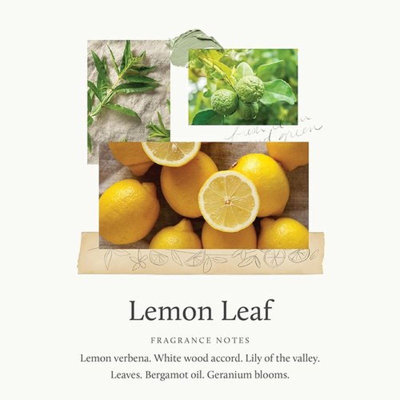 Thymes Hand Wash - Refreshing Lemon Leaf Scent - 15 Fl Oz for Gentle Cleansing
