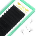 Easy Fan Volume Lashes D-0.07-15-20 MIX Easy Fan Lashes C D curl Flowering Lash Extensions Rapid Blooming Lashes 9 to 25 mm Mega Volume Lash Extensions .03 .05 .07 .10(D-0.07,15-20mix)