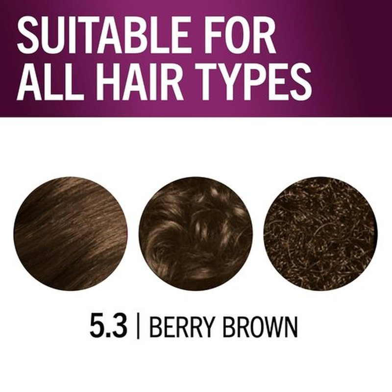 Schwarzkopf Keratin Hair Dye Cream - 5.3 Berry Brown | Professional Quality Gray Coverage