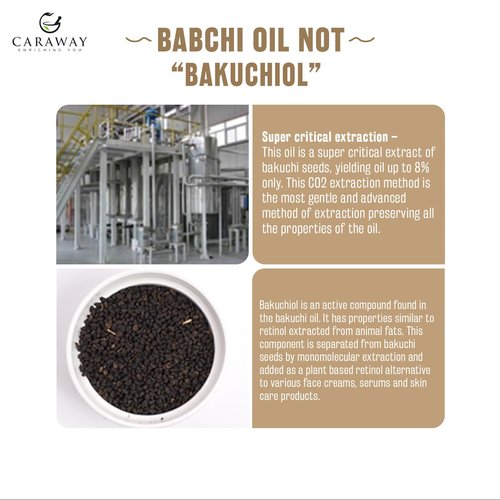 CARAWAY BAKUCHI OIL - Supercritical CO2 Extract| Pure Babchi Oil for Skin, Pigmentation, Vitiligo & Uneven skin tone| Bakuchi Seed Oil – 50ml