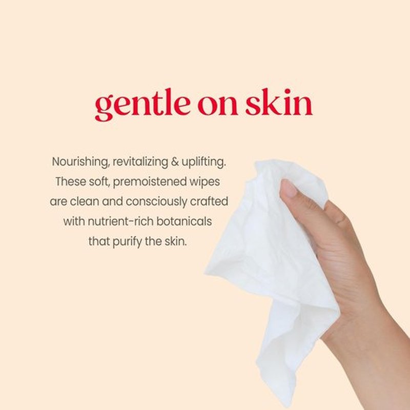 Burt's Bees Face Wipes - Hydrating Makeup Remover for All Skin Types | 30 Count (3-Pack)