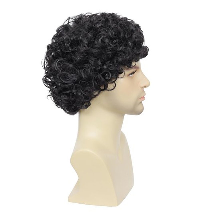 Airhostess Mens Short Afro Curly Wig for Male,70s 80s Disco Guy Rocker，Halloween Cosplay Fancy Wigs for Daily Party Costume (black)