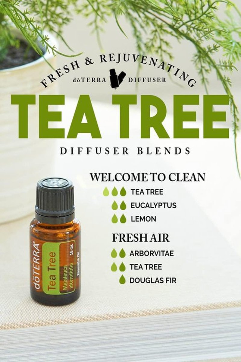 doTERRA Melaleuca Essential Oil - 15 ml | Therapeutic Grade, 2-Pack for Natural Wellness