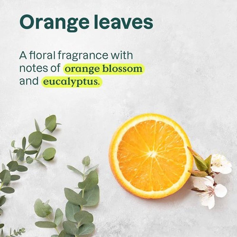 ATTITUDE Body Wash & Hand Soap Set - EWG Verified Vegan Duo | Energizing Orange Leaves, 16 Fl Oz Each