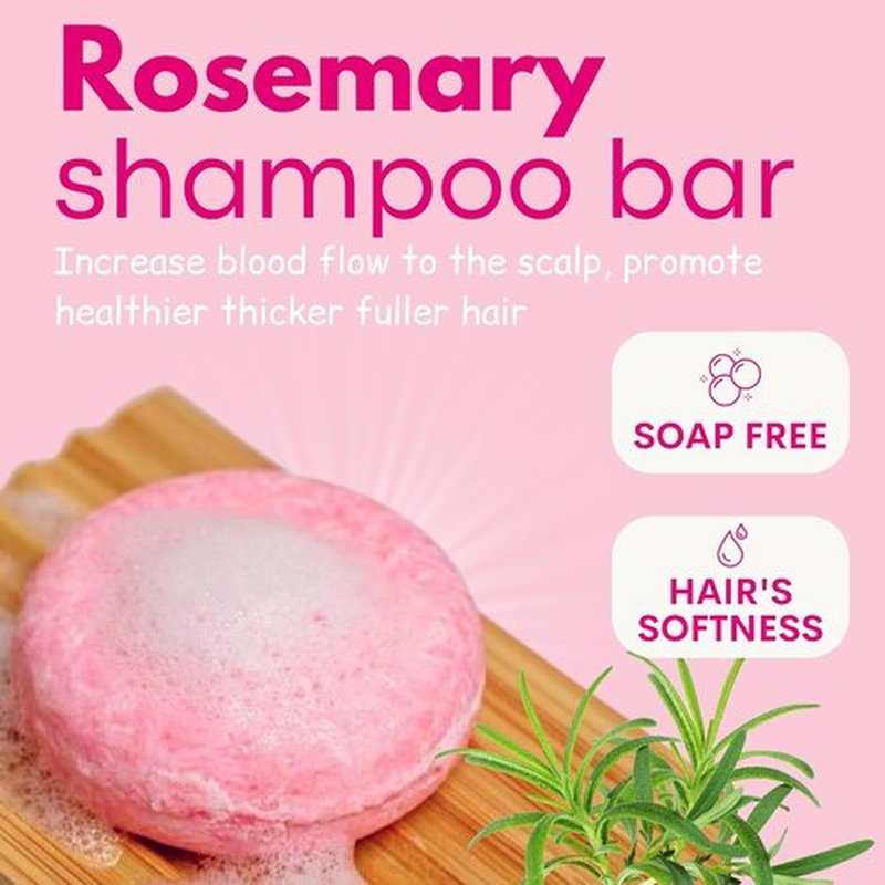 Skiennix Ginger Rosemary & Rice Water Shampoo Bar Pack of 3 - Promotes Hair Growth & Thickening | Sulfate-Free, pH Balanced for All Hair Types