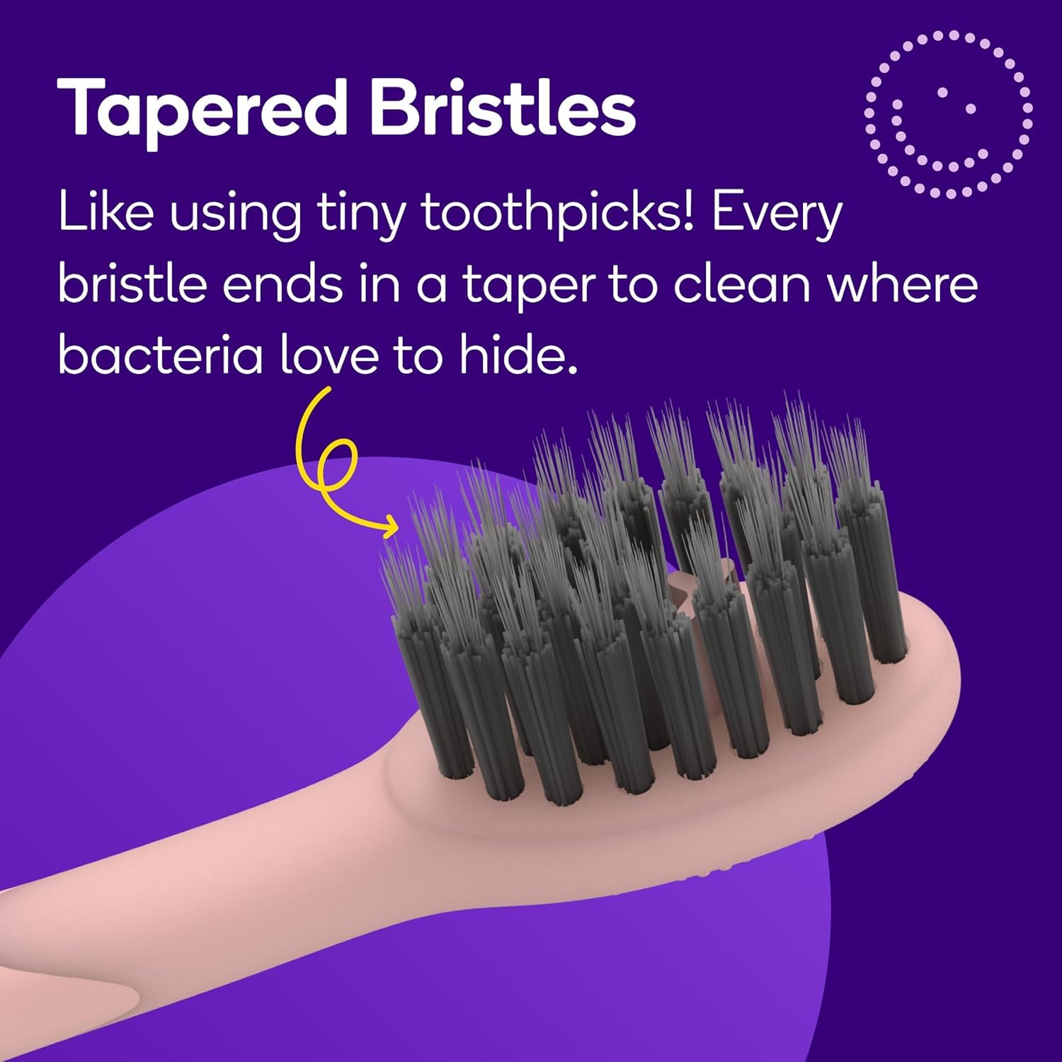 BURST Genuine Replacement Heads for Original Sonic Toothbrush (Rose Gold)