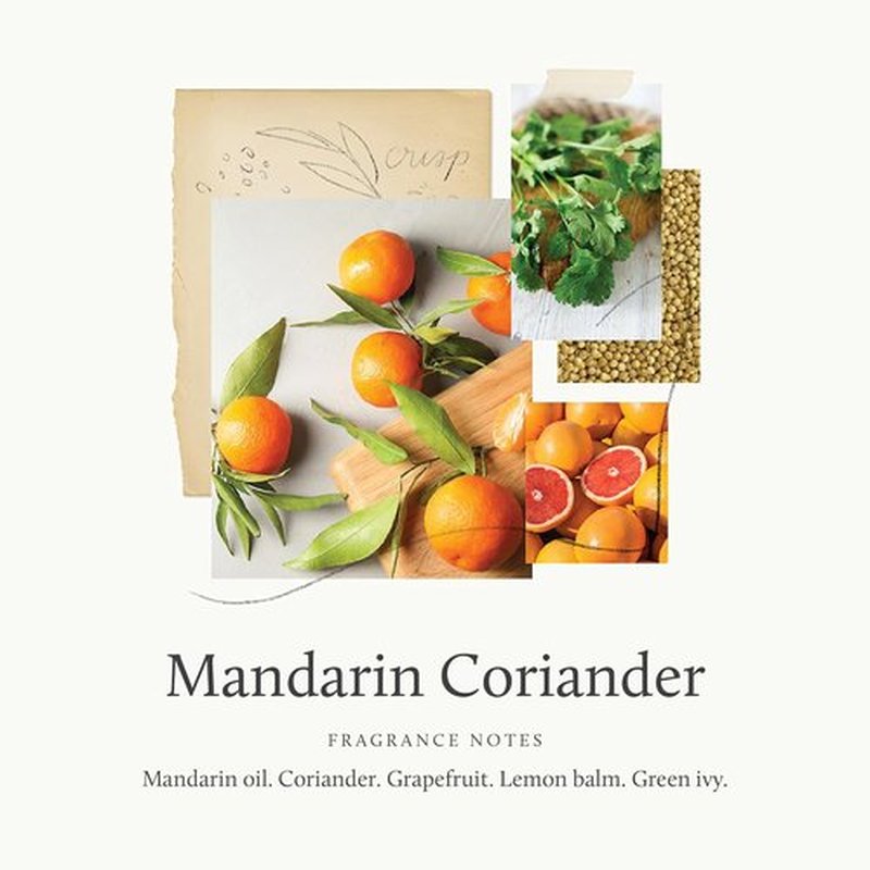 Thymes Hand Wash - Mandarin Coriander Scent - 15 Fl Oz | Luxurious Moisturizing Formula